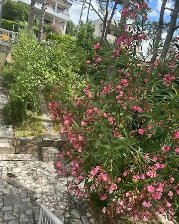 Apartmán Za 2-3 Osobe *