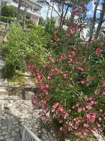 Apartmán Za 2-3 Osobe *